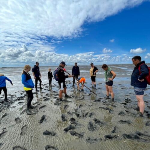 wadlopen wadlopen